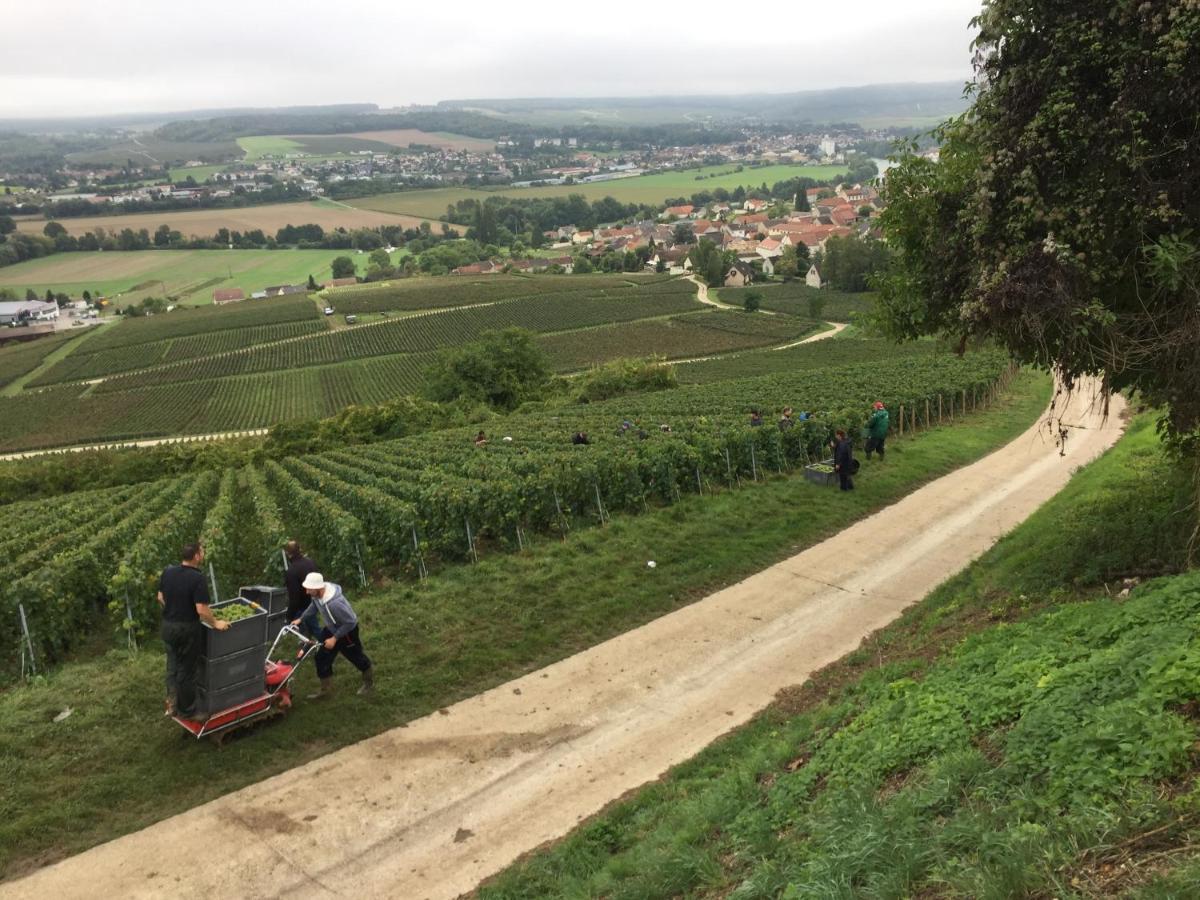Villa L'Insouciance En Champagne Vincelles  Eksteriør billede