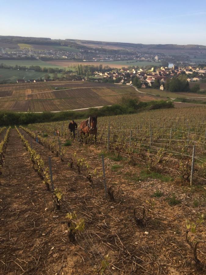 Villa L'Insouciance En Champagne Vincelles  Eksteriør billede