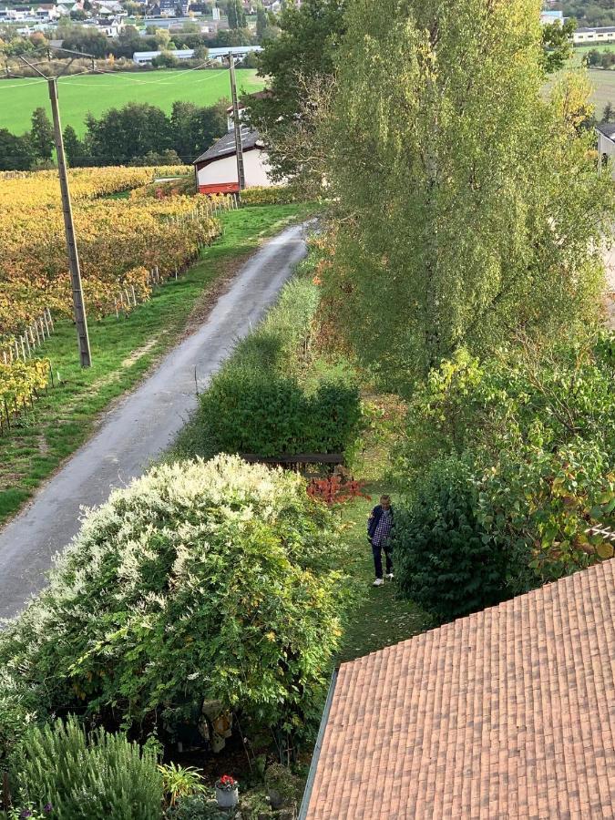 Villa L'Insouciance En Champagne Vincelles  Eksteriør billede
