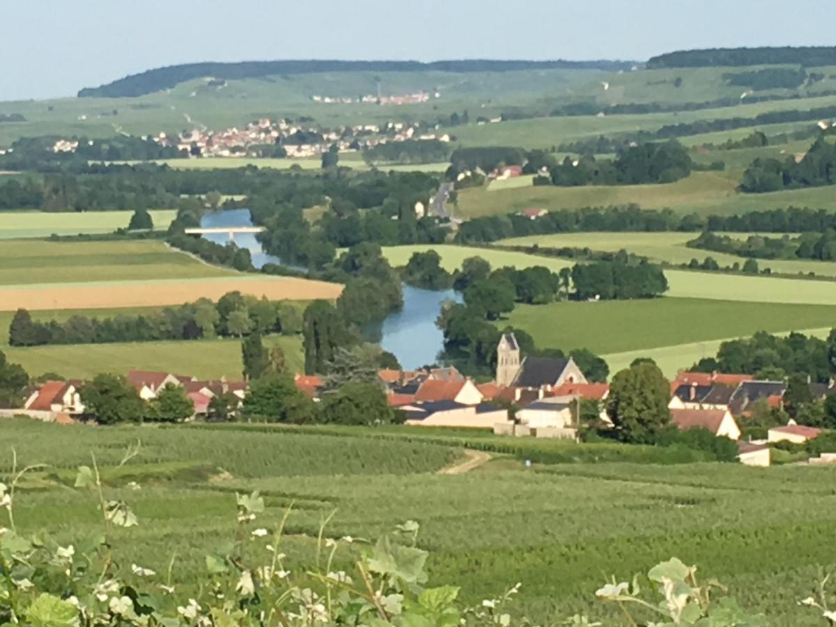 Villa L'Insouciance En Champagne Vincelles  Eksteriør billede